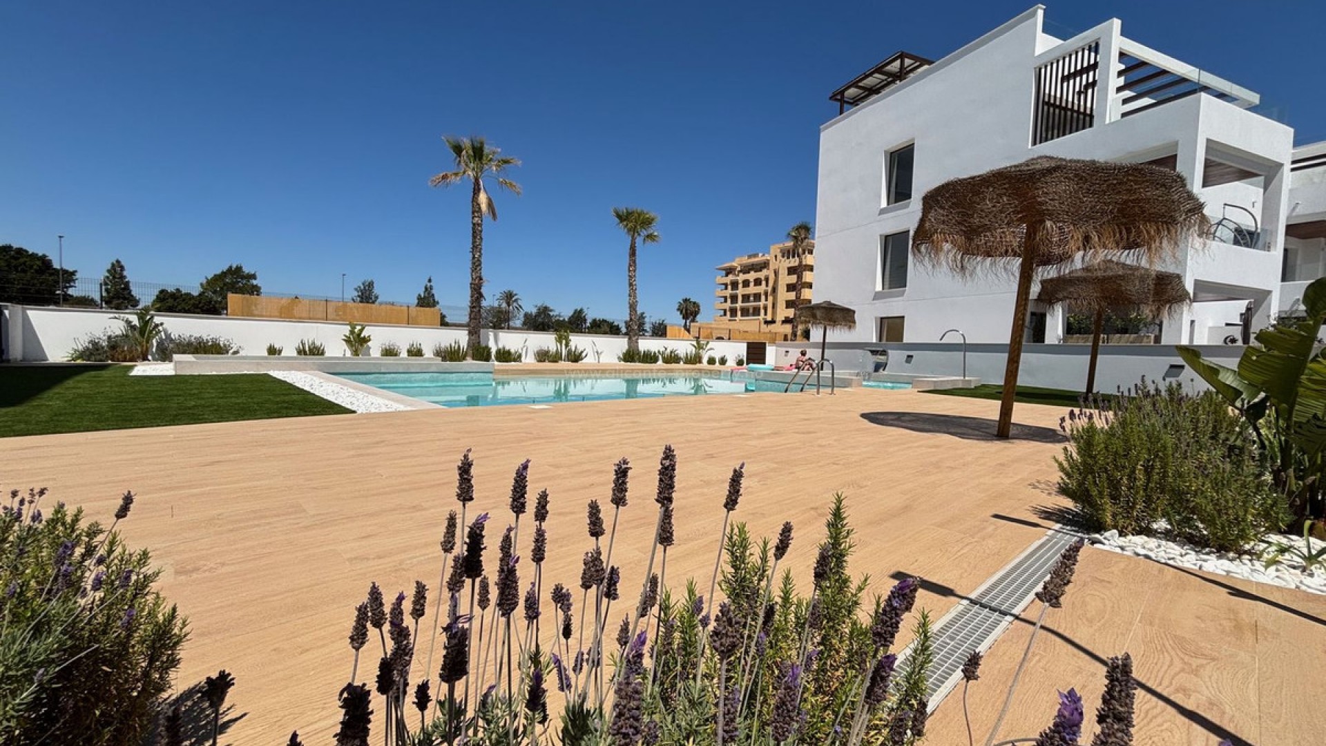 Apartment / flat in Los Alcazares Centro