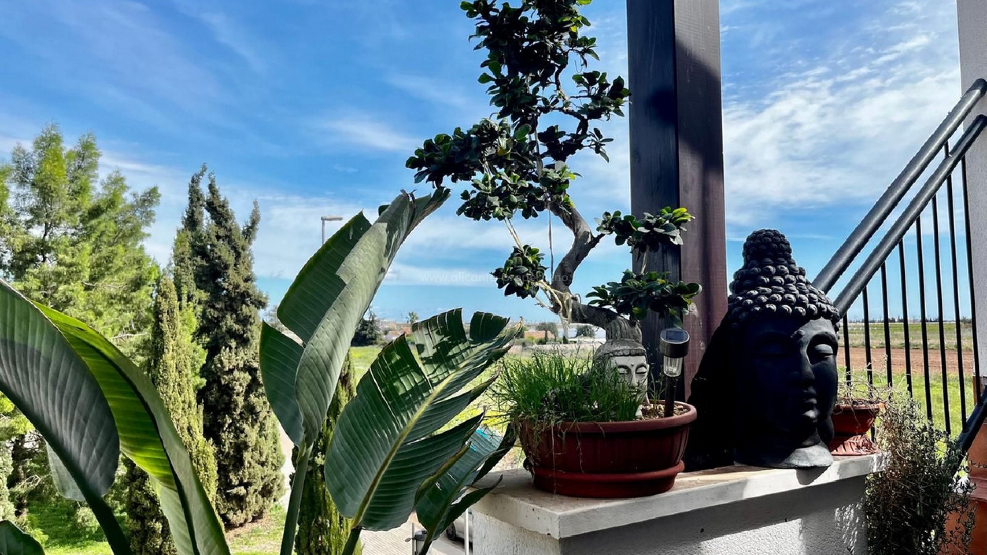 Apartment / flat in Los Alcazares Centro