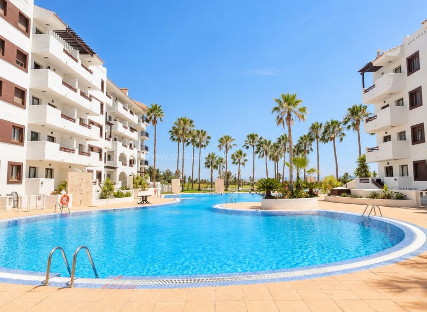 Apartment / flat in Los Alcazares Centro