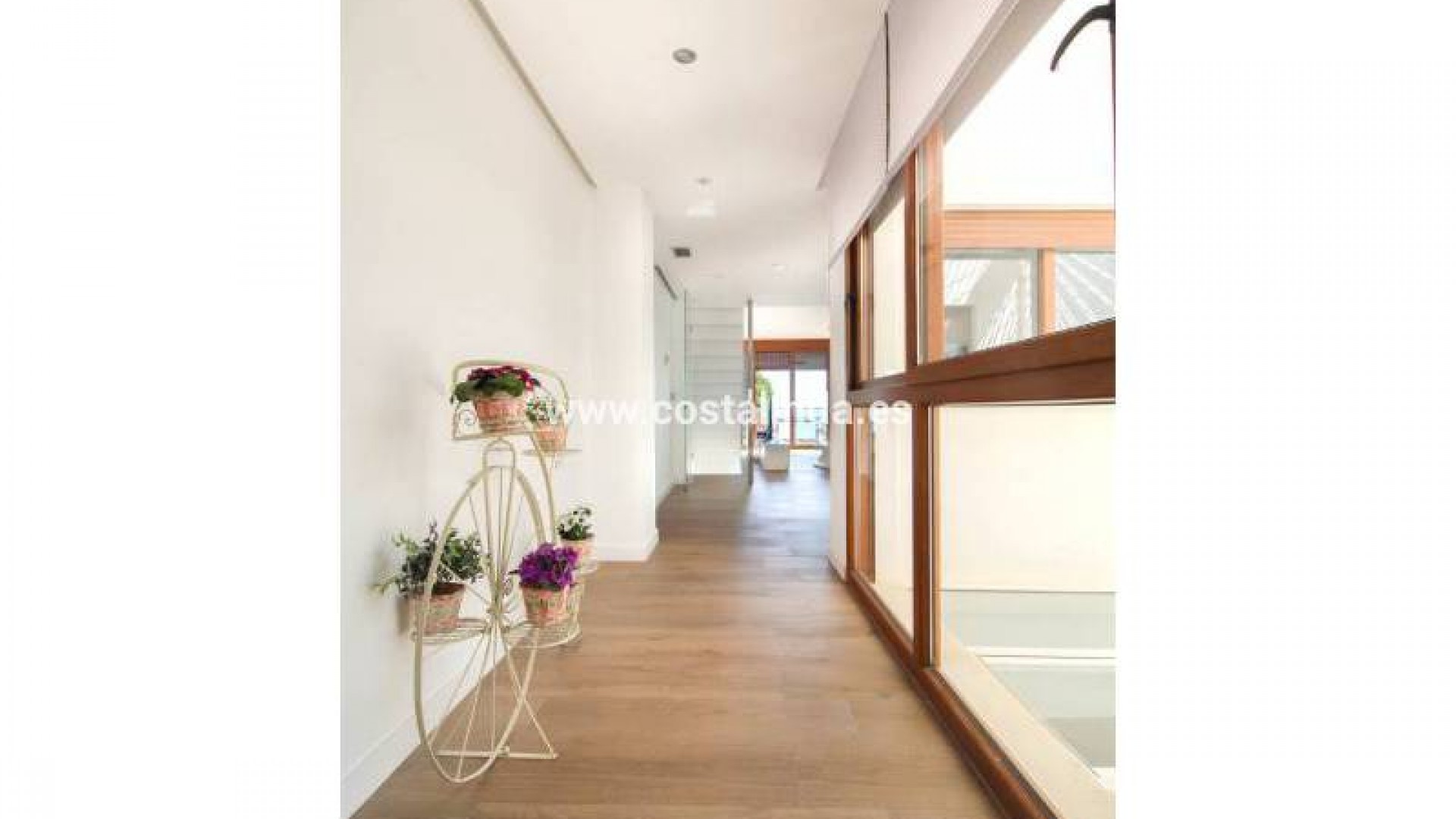 Apartment / flat in Los Alcazares