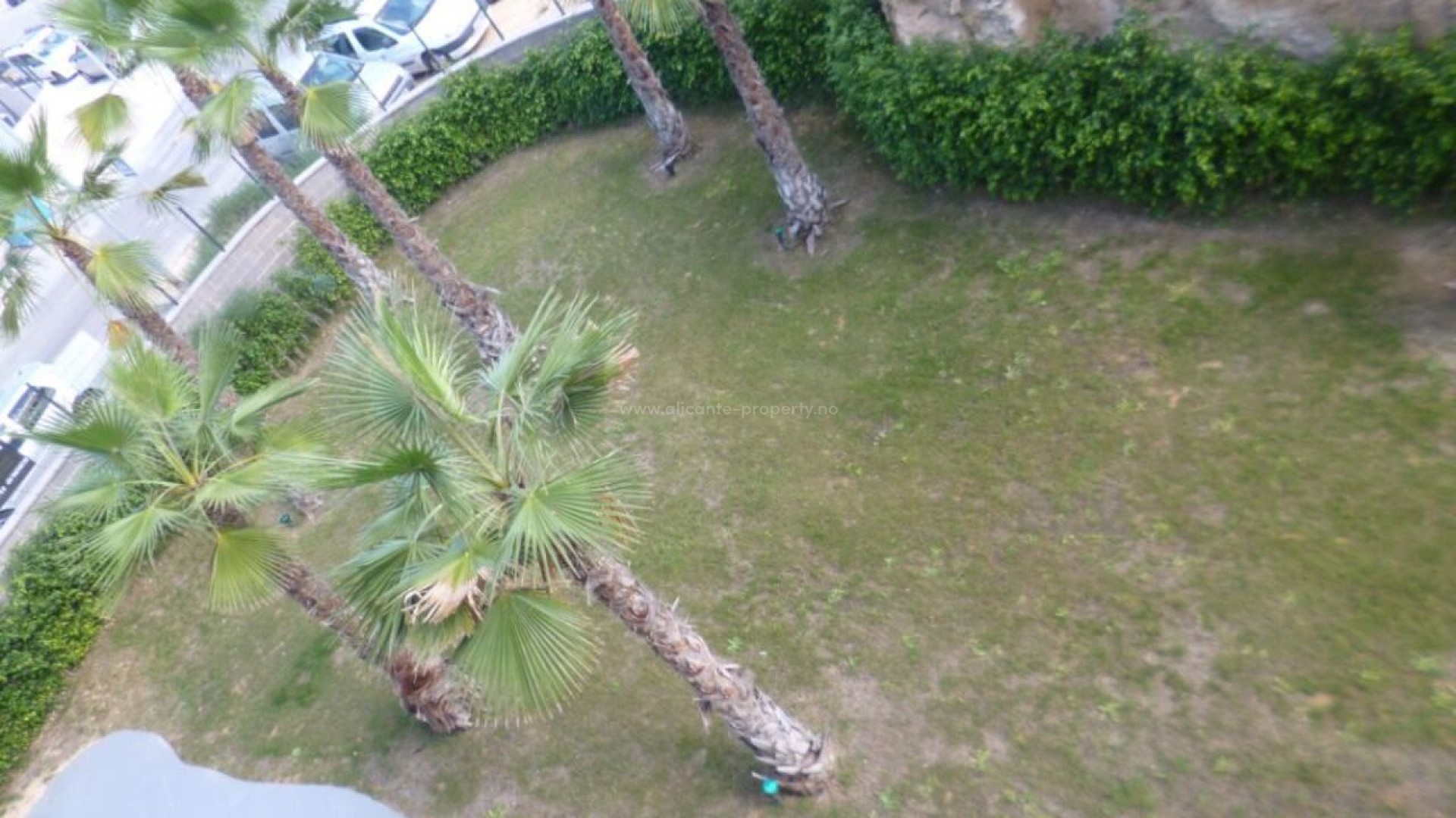 Apartment / flat in Los Altos