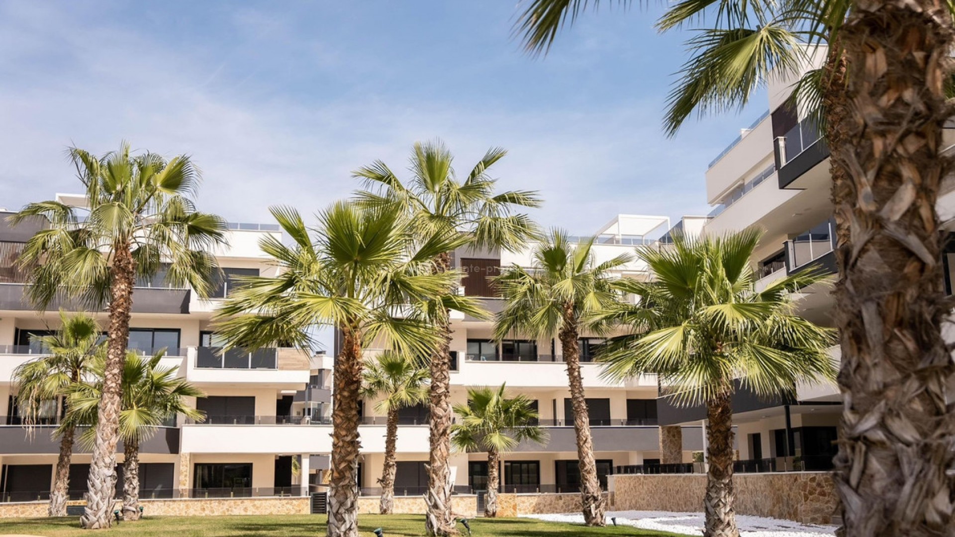 Apartment / flat in Los Altos