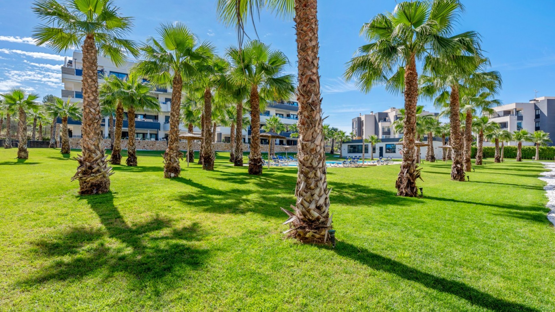 Apartment / flat in Los Altos