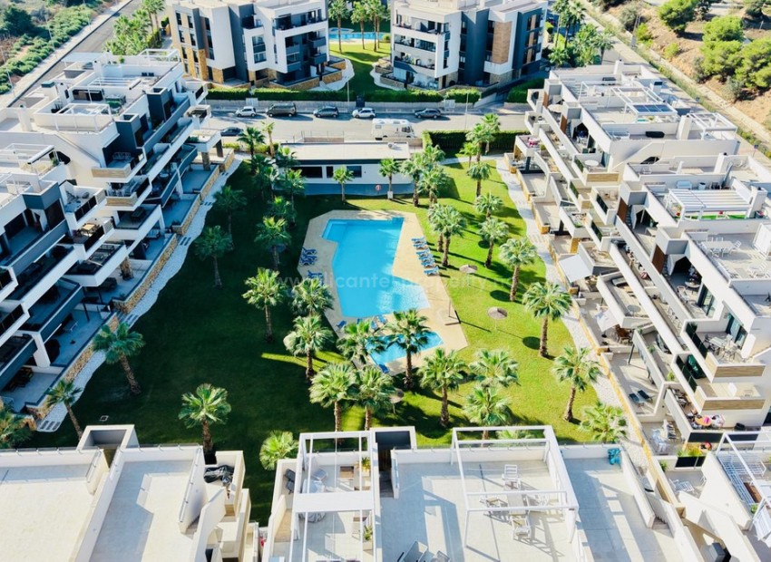Apartment / flat in Los Altos