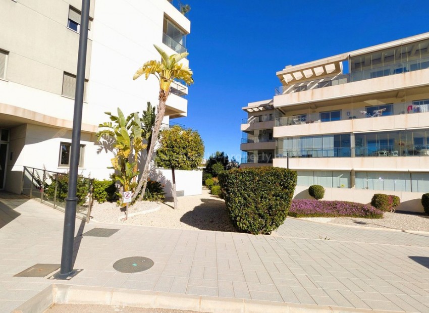 Apartment / flat in Los Dolses