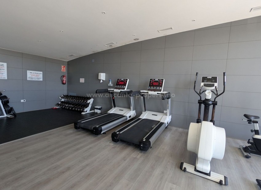 Apartment / flat in Los Dolses