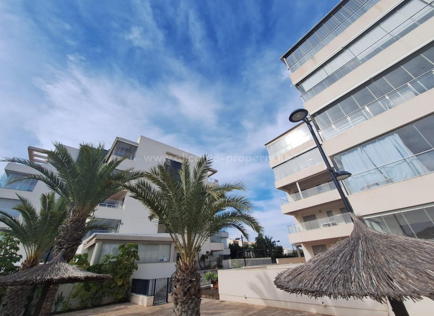 Apartment / flat in Los Dolses