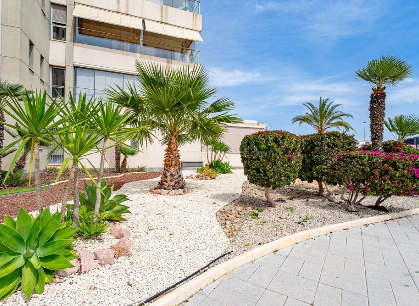 Apartment / flat in Los Dolses