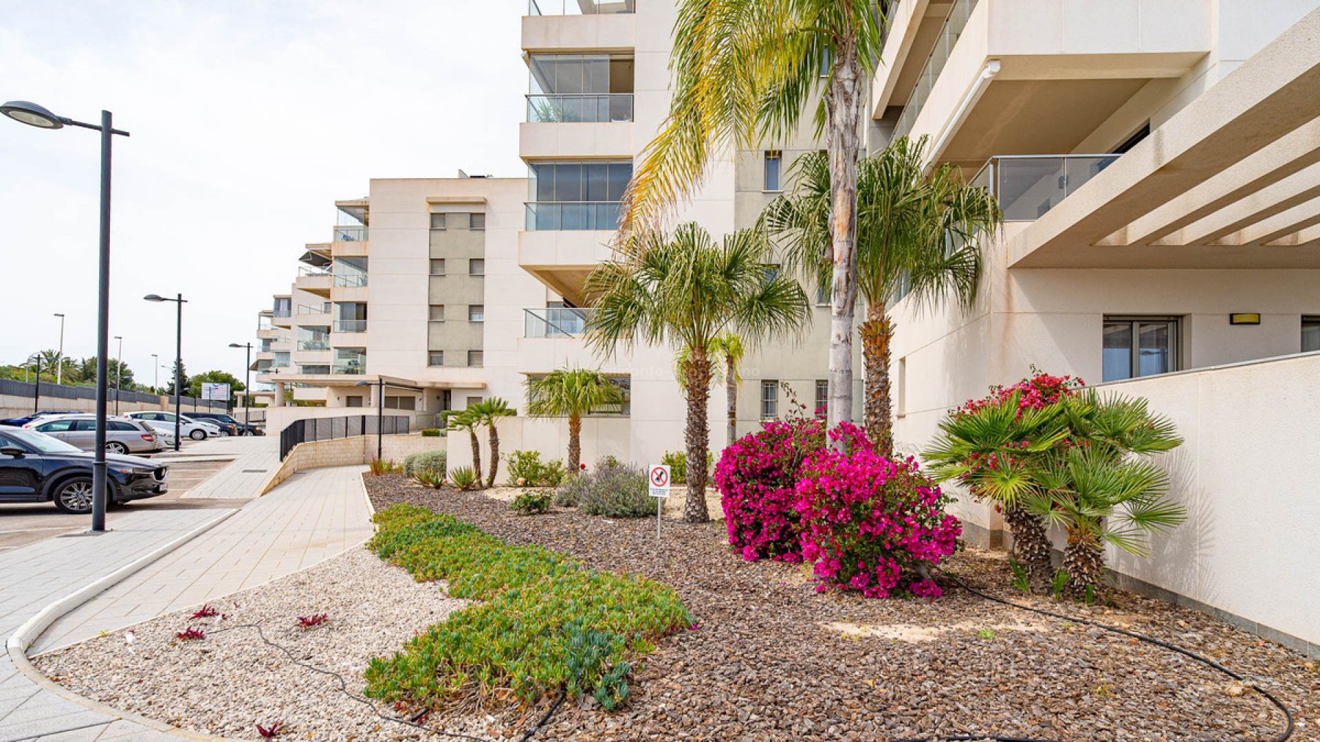 Apartment / flat in Los Dolses