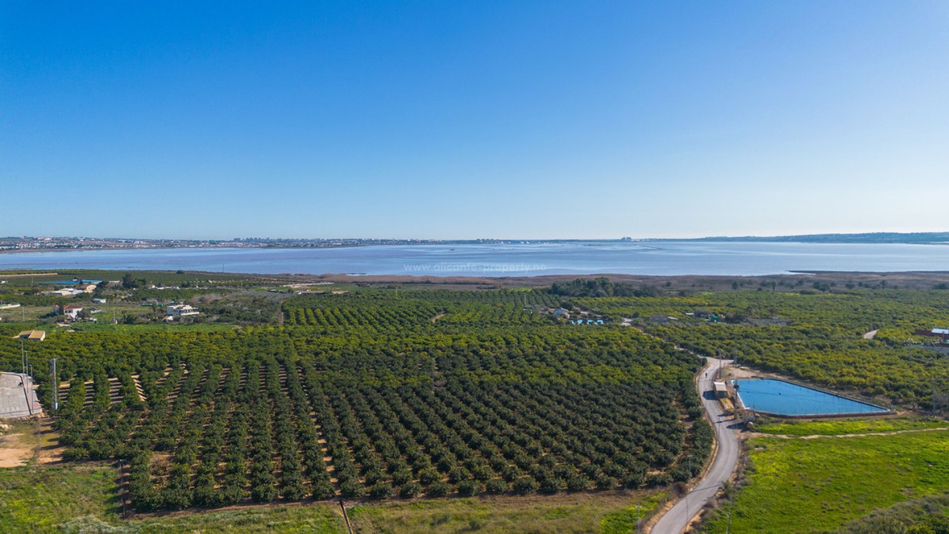 Apartment / flat in Los Montesinos Centro