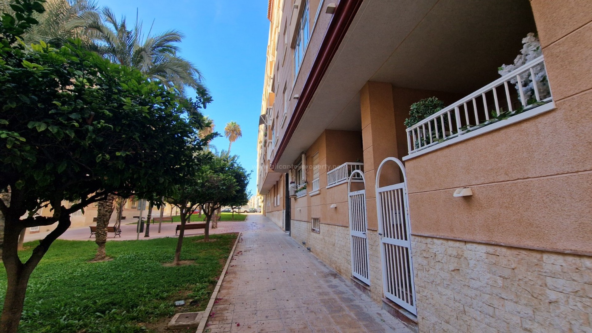 Apartment / flat in Mercadona Guardamar
