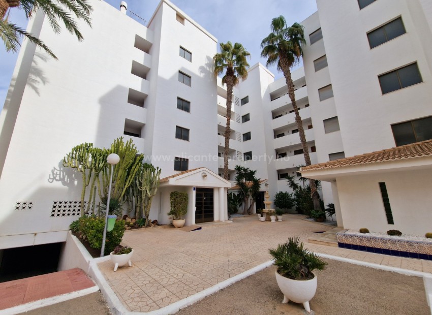 Apartment / flat in Mercadona Guardamar