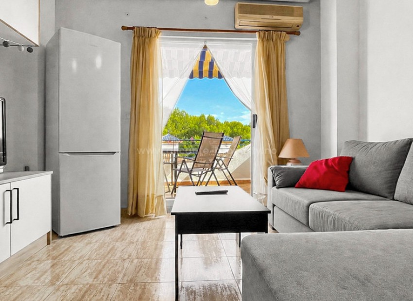 Apartment / flat in Mil Palmeras