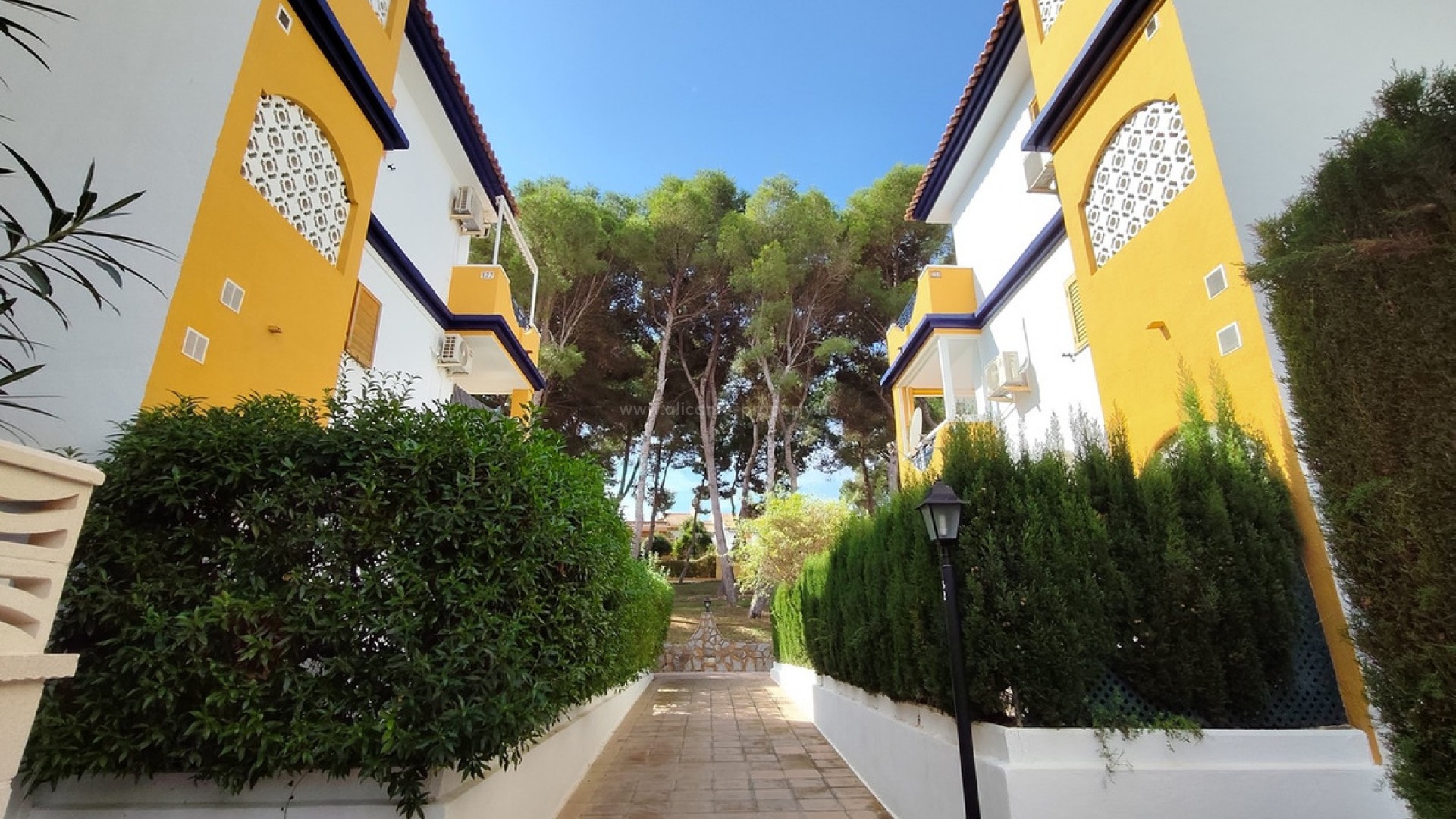 Apartment / flat in Mil Palmeras
