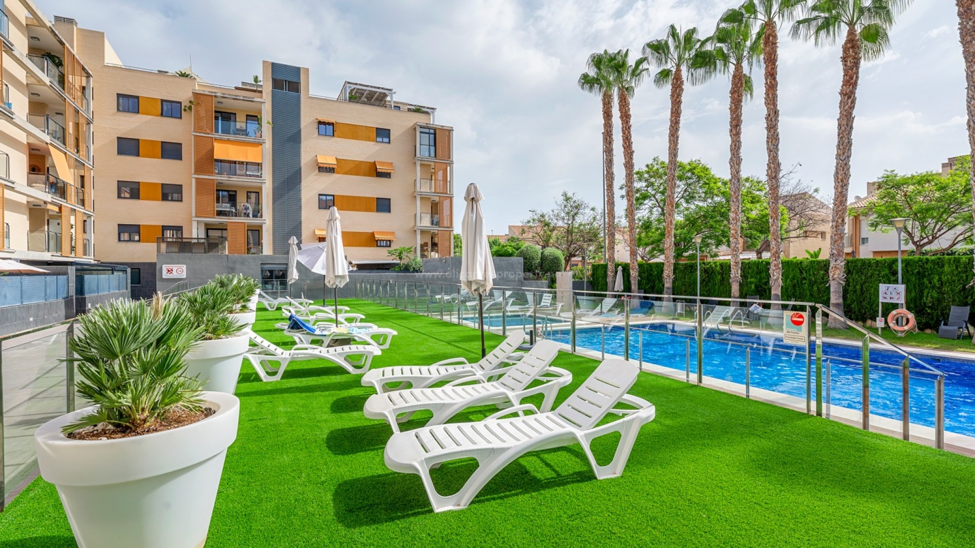Apartment / flat in Muchavista
