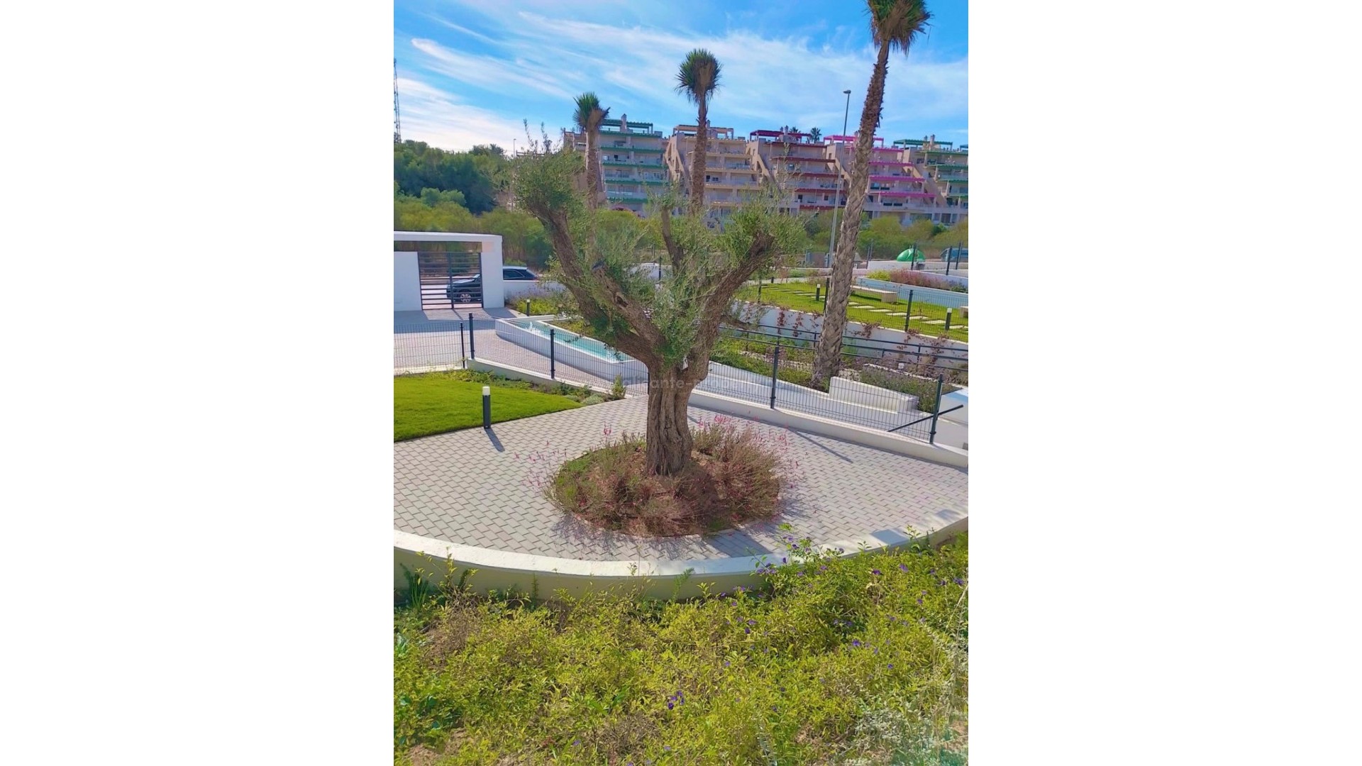 Apartment / flat in Orihuela Centro