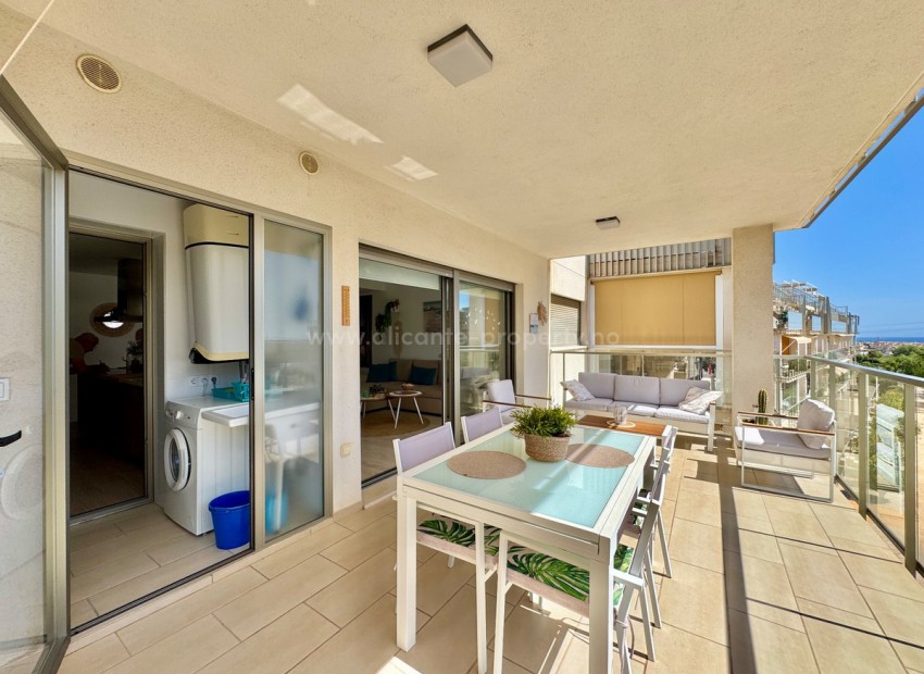Apartment / flat in Orihuela Centro