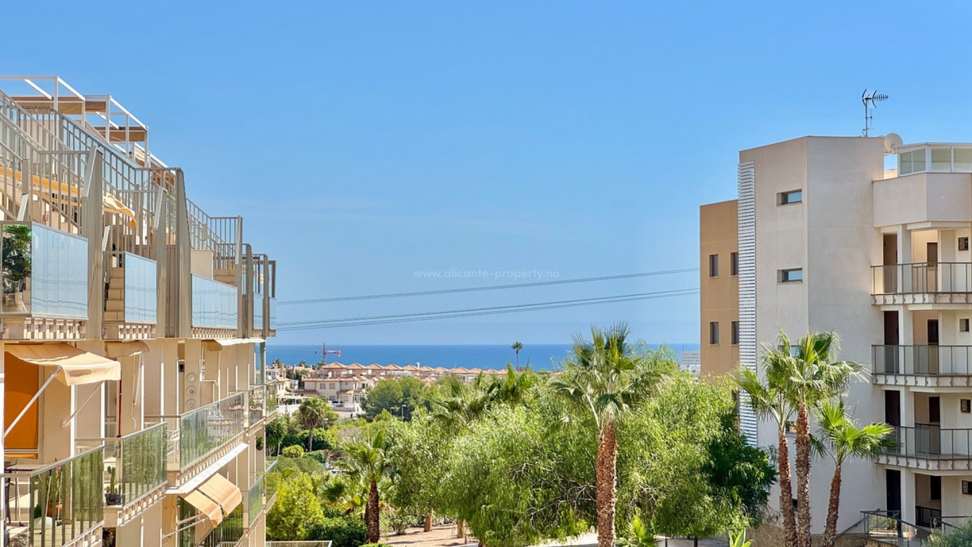 Apartment / flat in Orihuela Centro