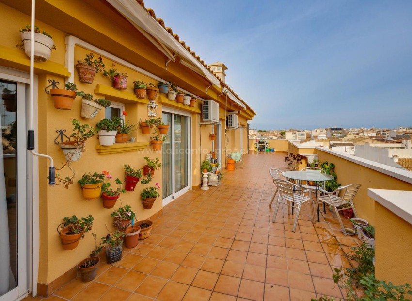 Apartment / flat in Pilar de la Horadada Centro