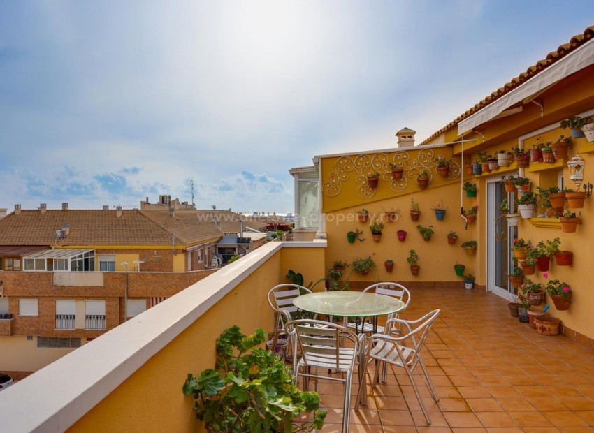 Apartment / flat in Pilar de la Horadada Centro