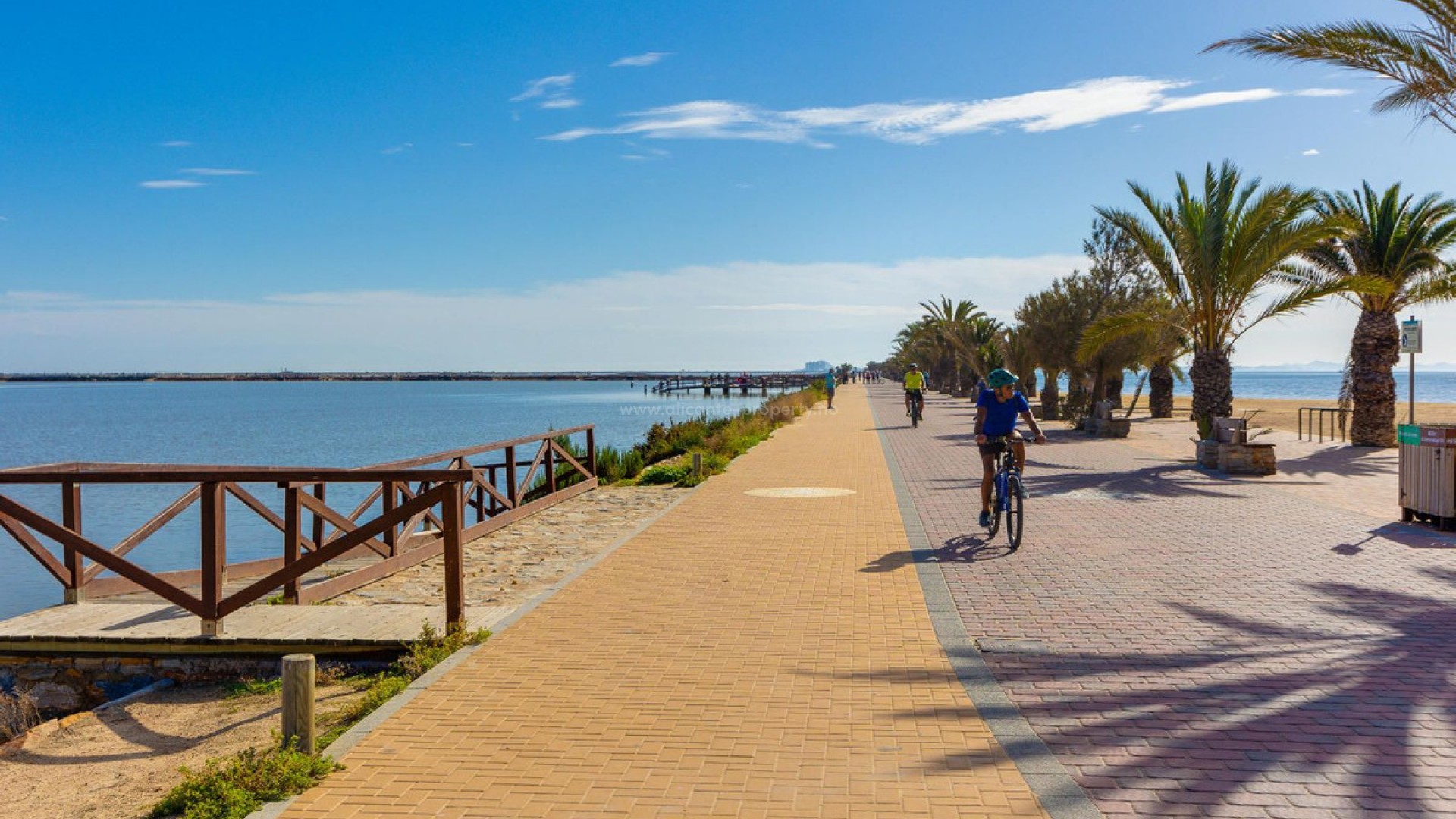 Apartment / flat in Pilar de la Horadada Centro