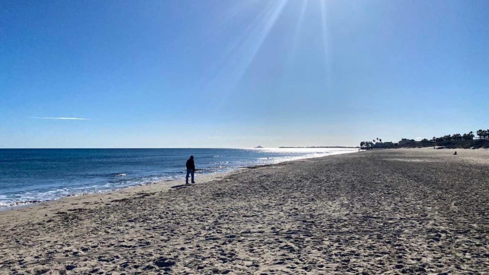 Apartment / flat in Pilar de la Horadada Centro