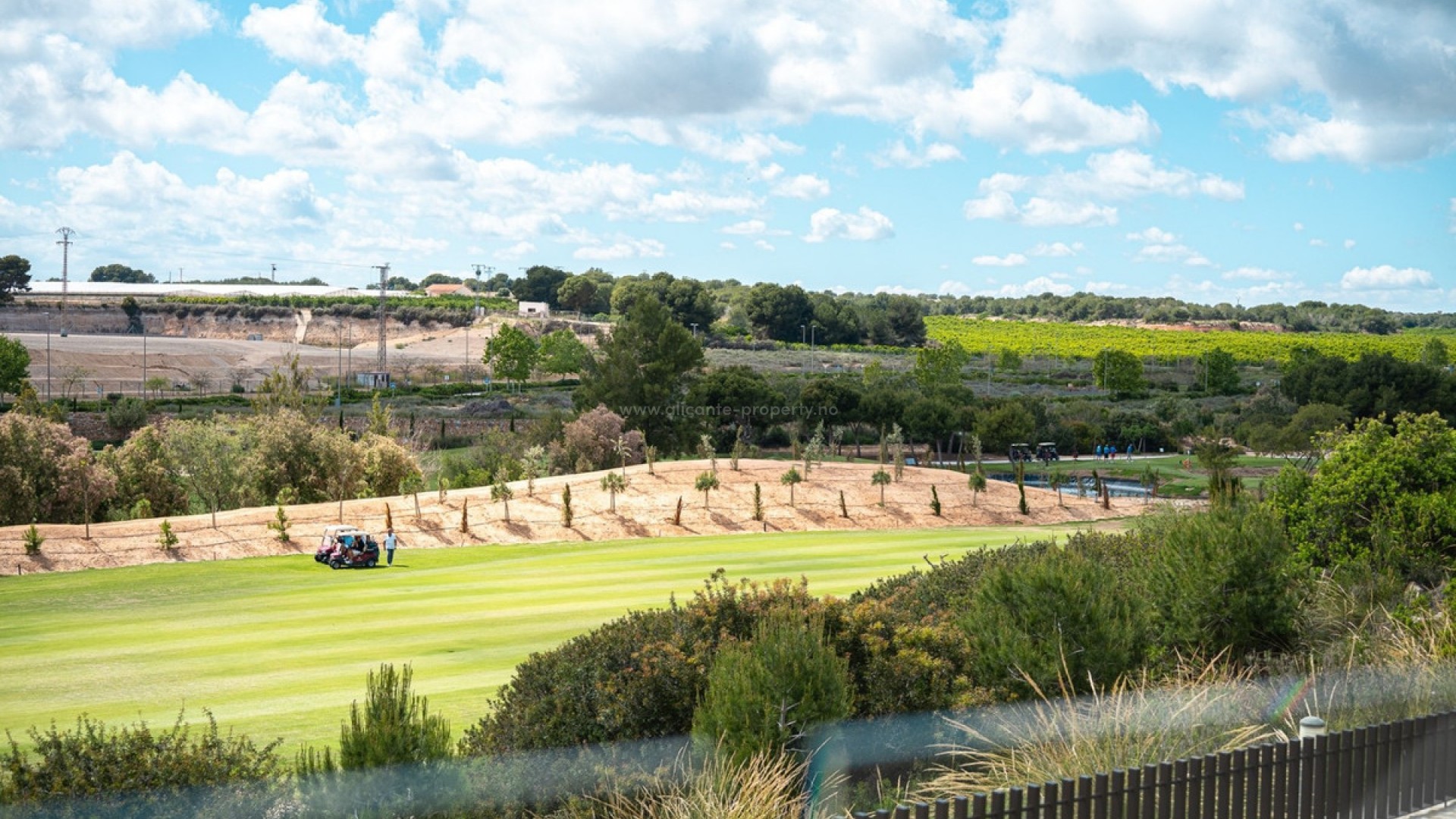 Apartment / flat in Pilar de la Horadada Centro