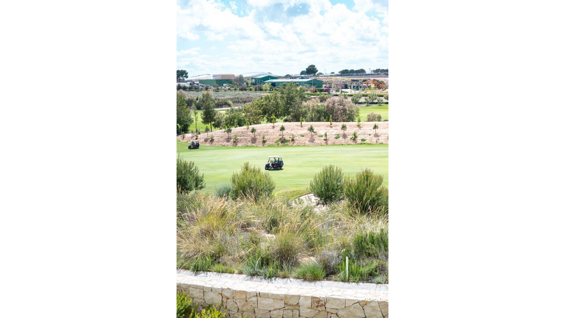 Apartment / flat in Pilar de la Horadada Centro