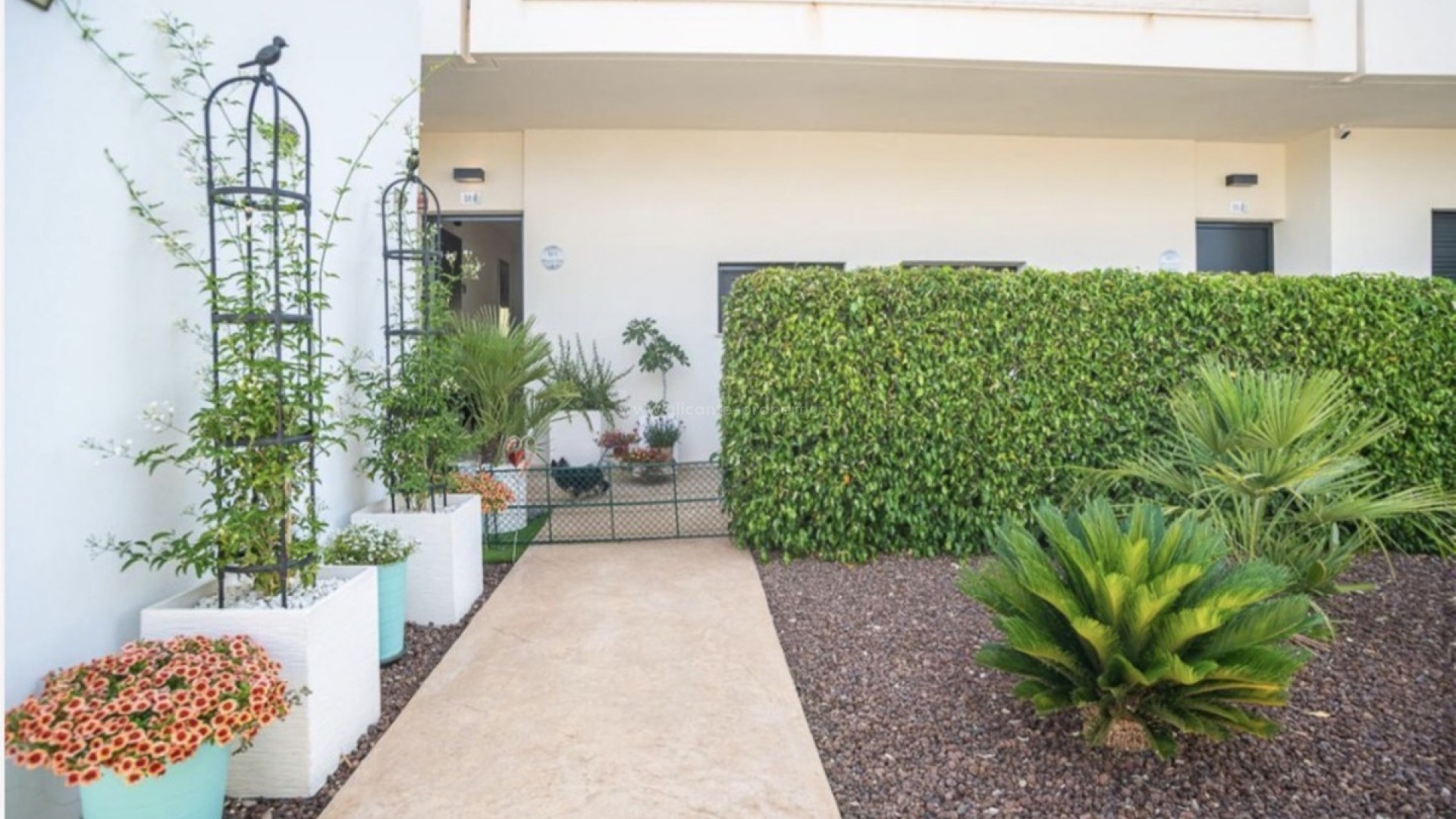 Apartment / flat in Pilar de la Horadada Centro