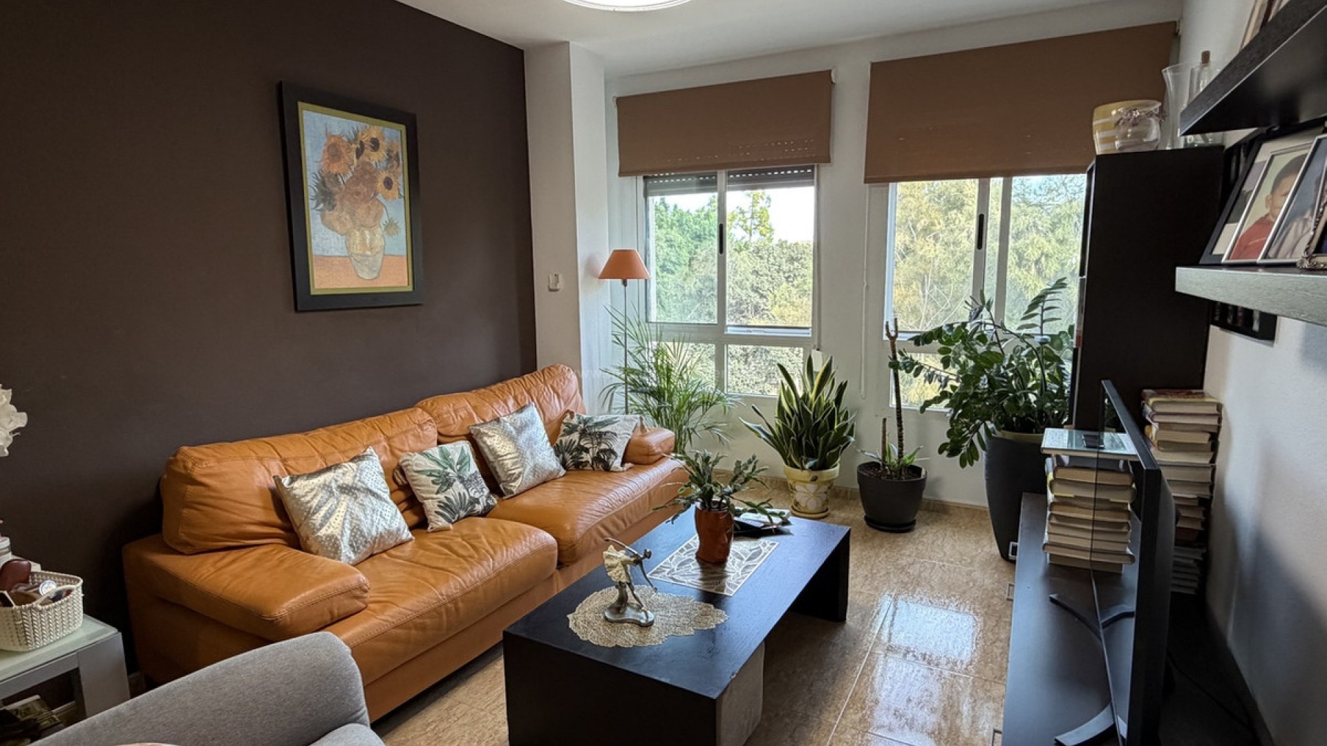Apartment / flat in Pilar de la Horadada Centro