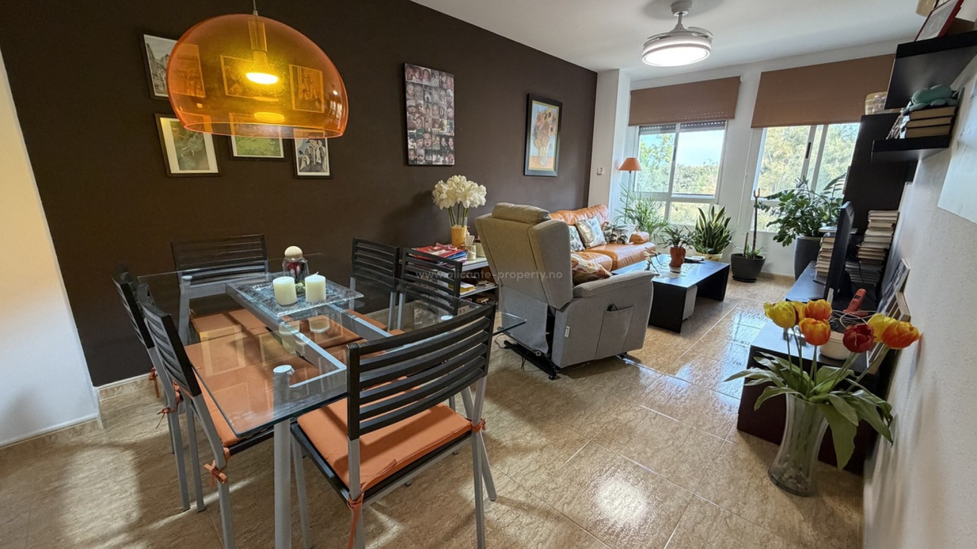 Apartment / flat in Pilar de la Horadada Centro