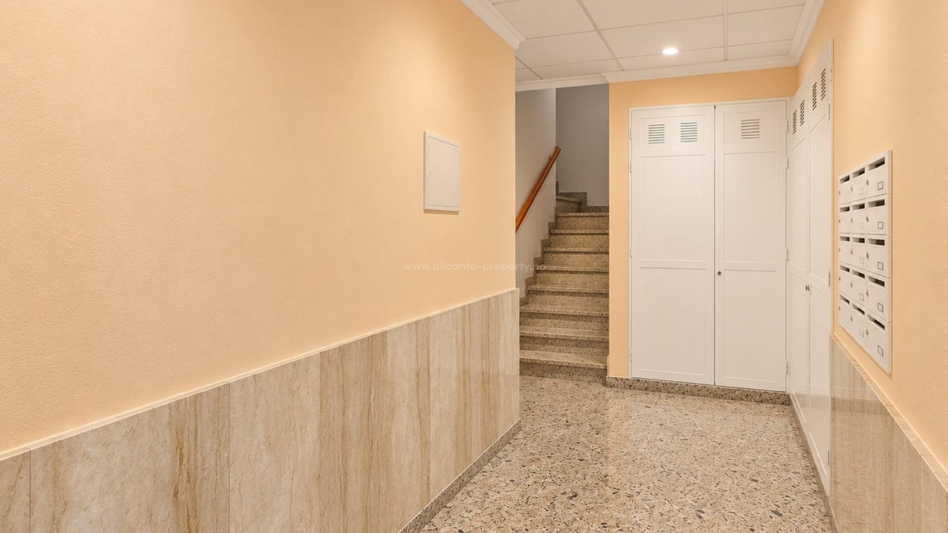 Apartment / flat in Pilar de la Horadada Centro