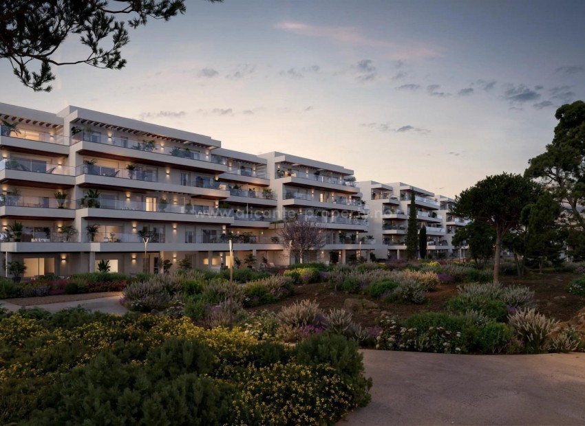 Apartment / flat in Playa de La Almadraba