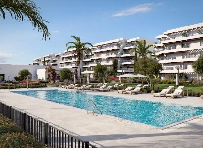 Apartment / flat in Playa de La Almadraba