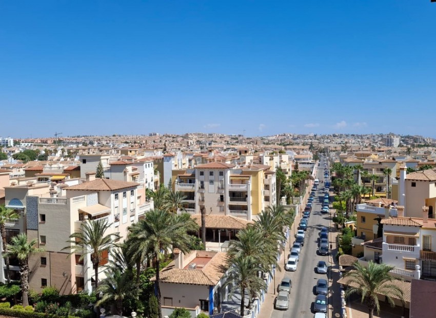 Apartment / flat in Playa de los Locos
