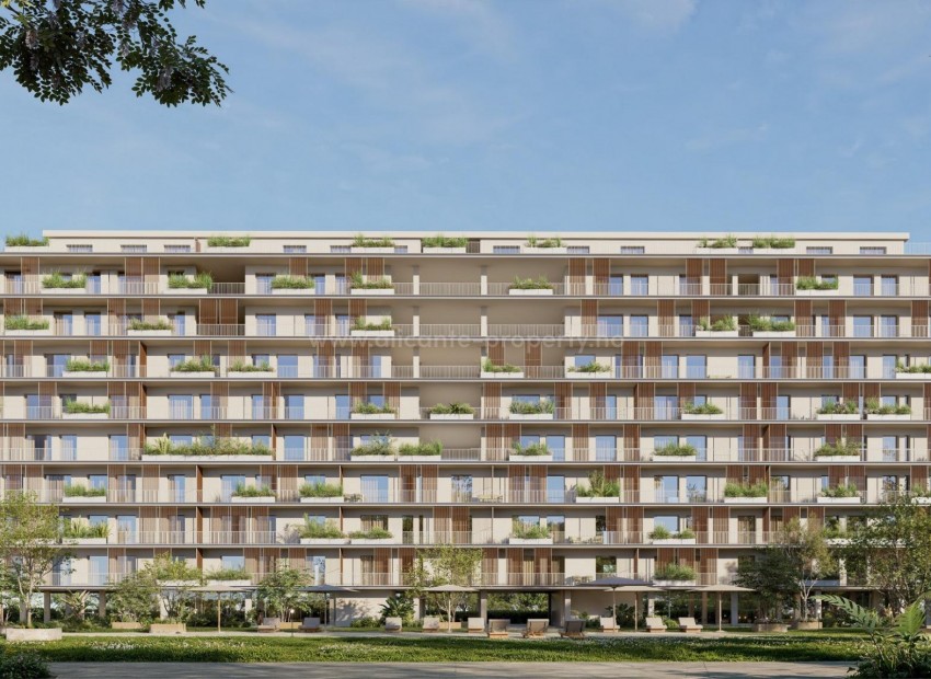 Apartment / flat in Playa de Moncofa