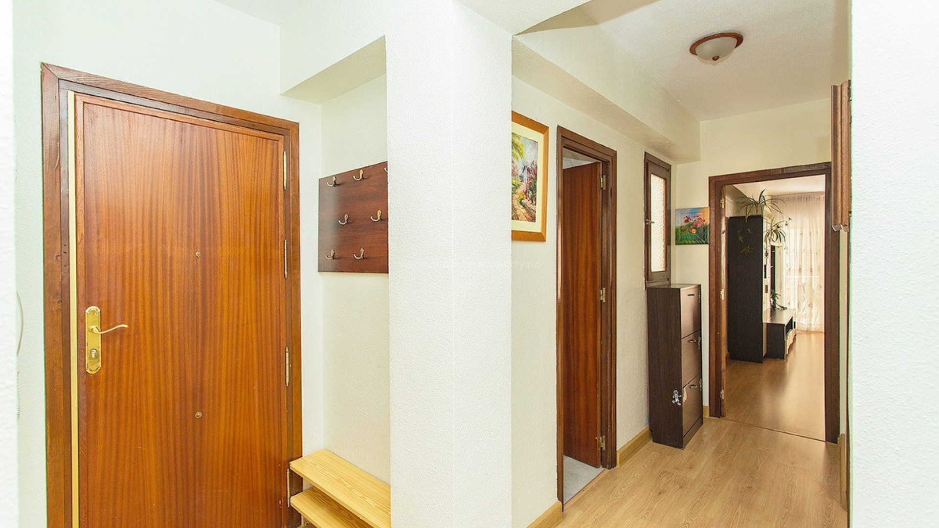 Apartment / flat in Playa del Cura