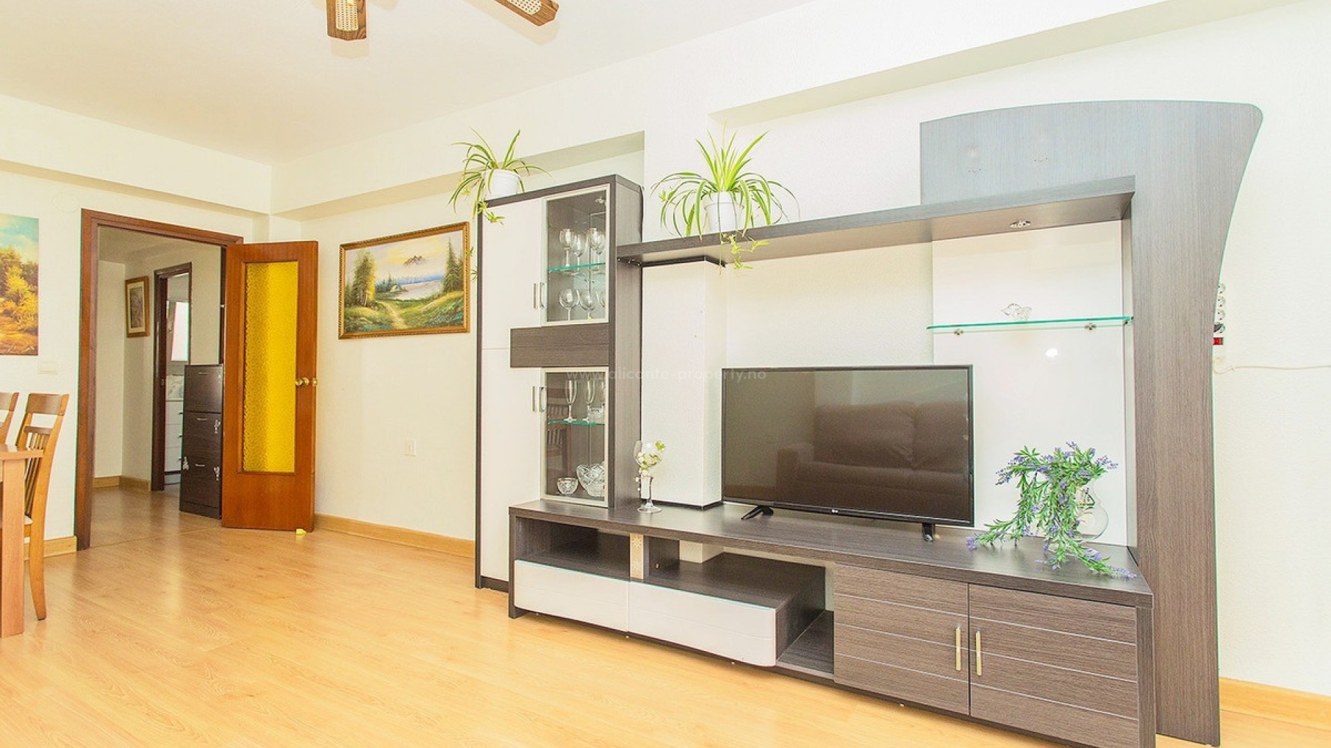 Apartment / flat in Playa del Cura