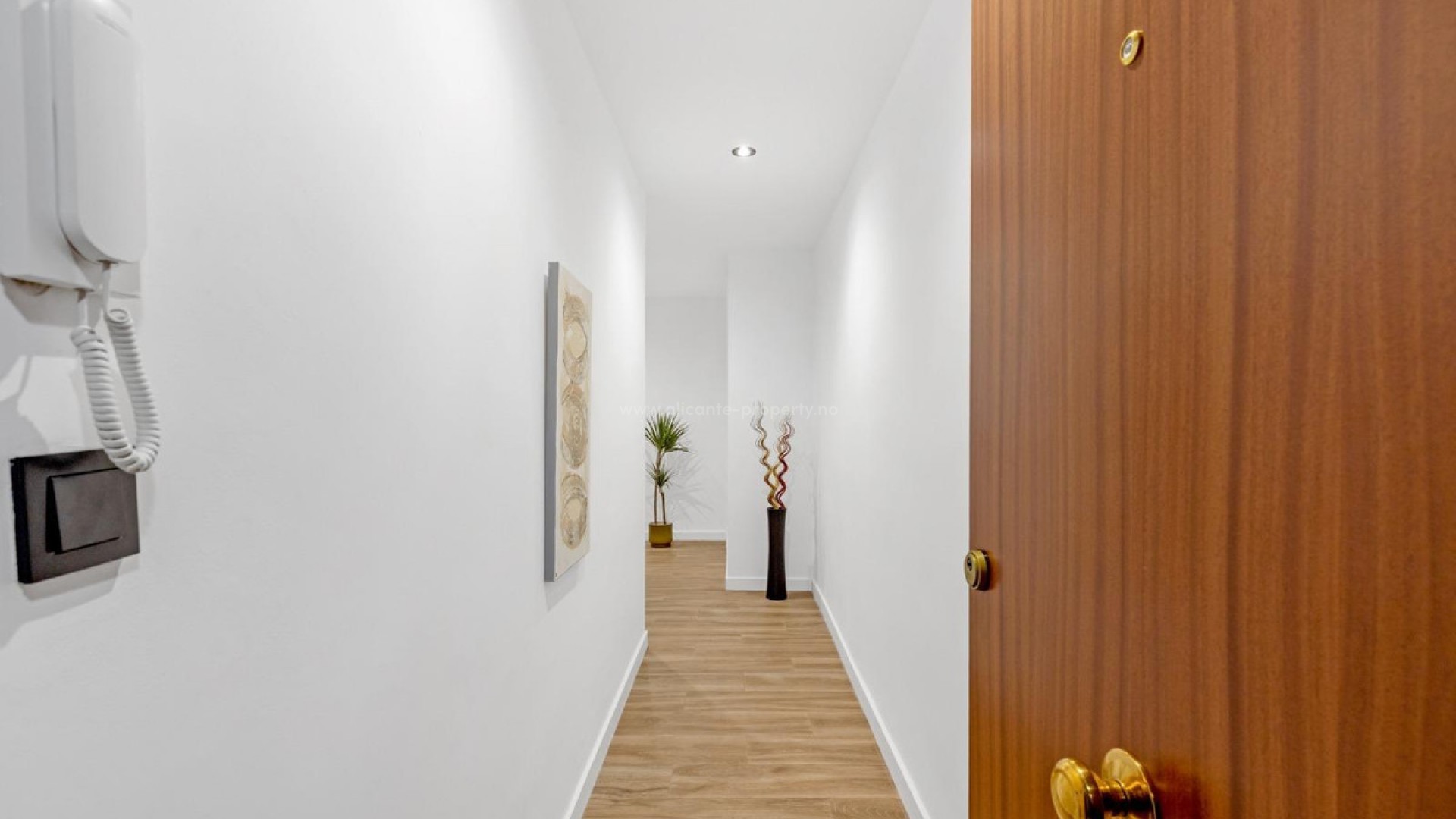 Apartment / flat in Playa del Cura