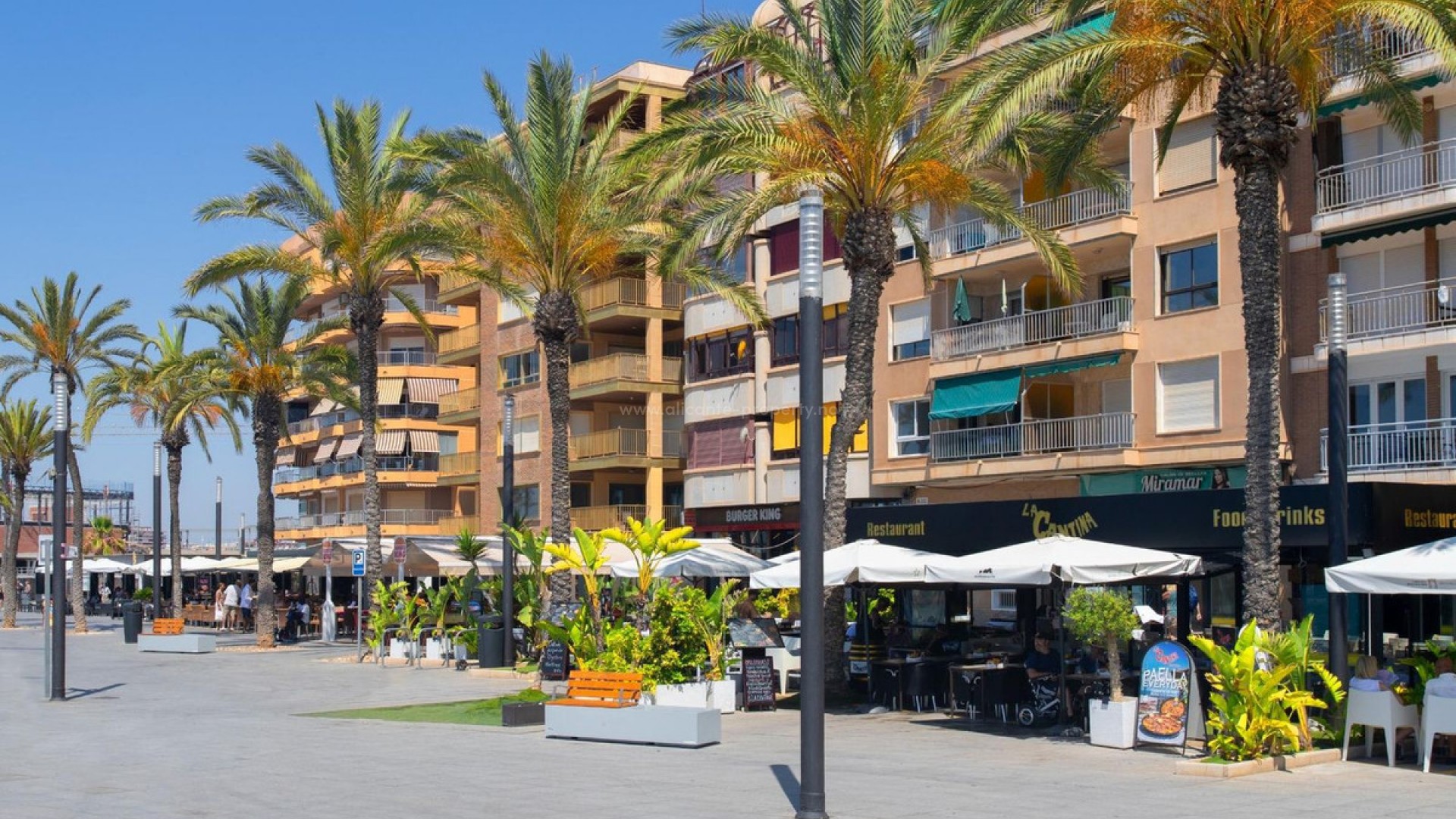 Apartment / flat in Playa del Cura