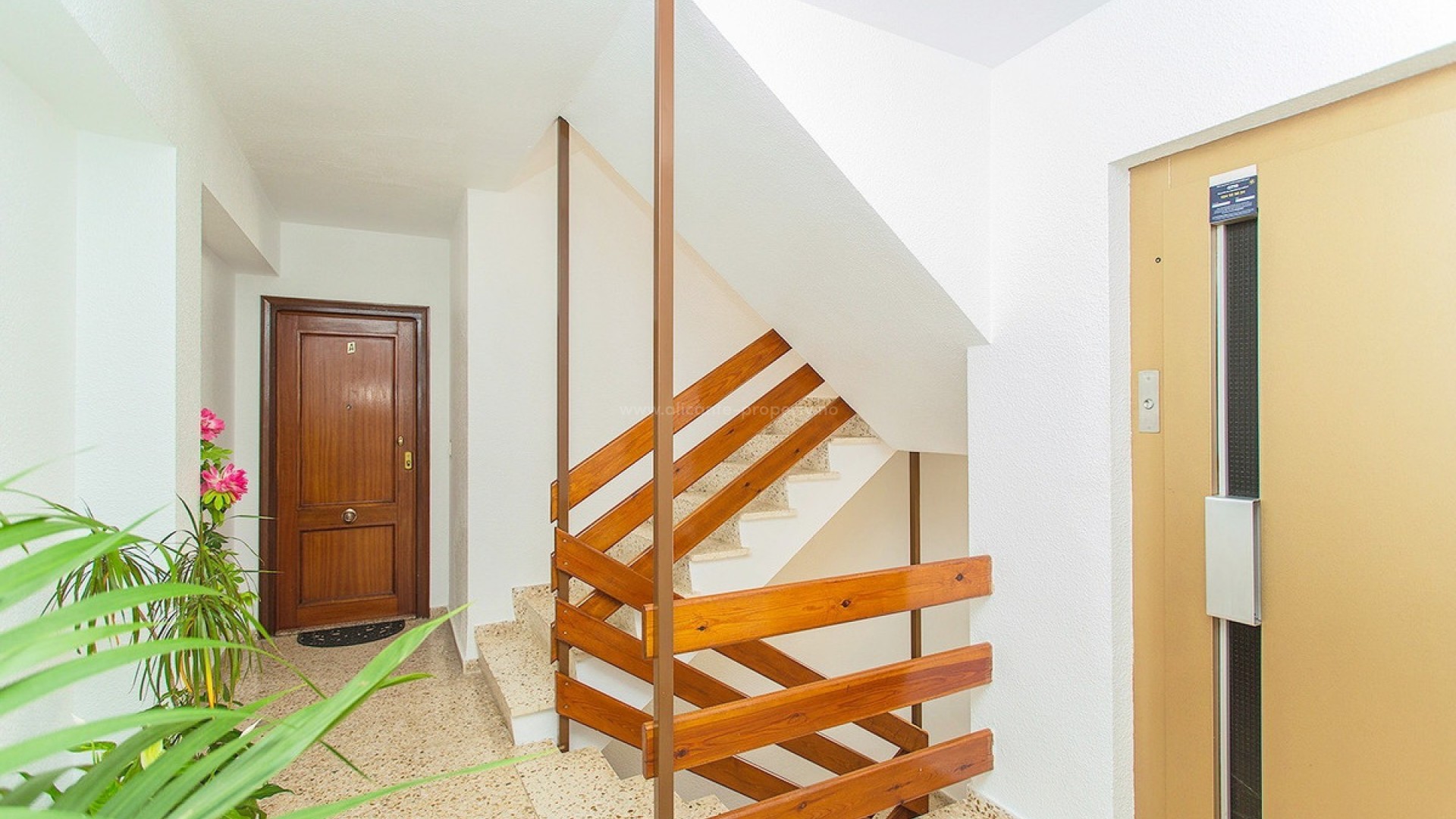 Apartment / flat in Playa del Cura