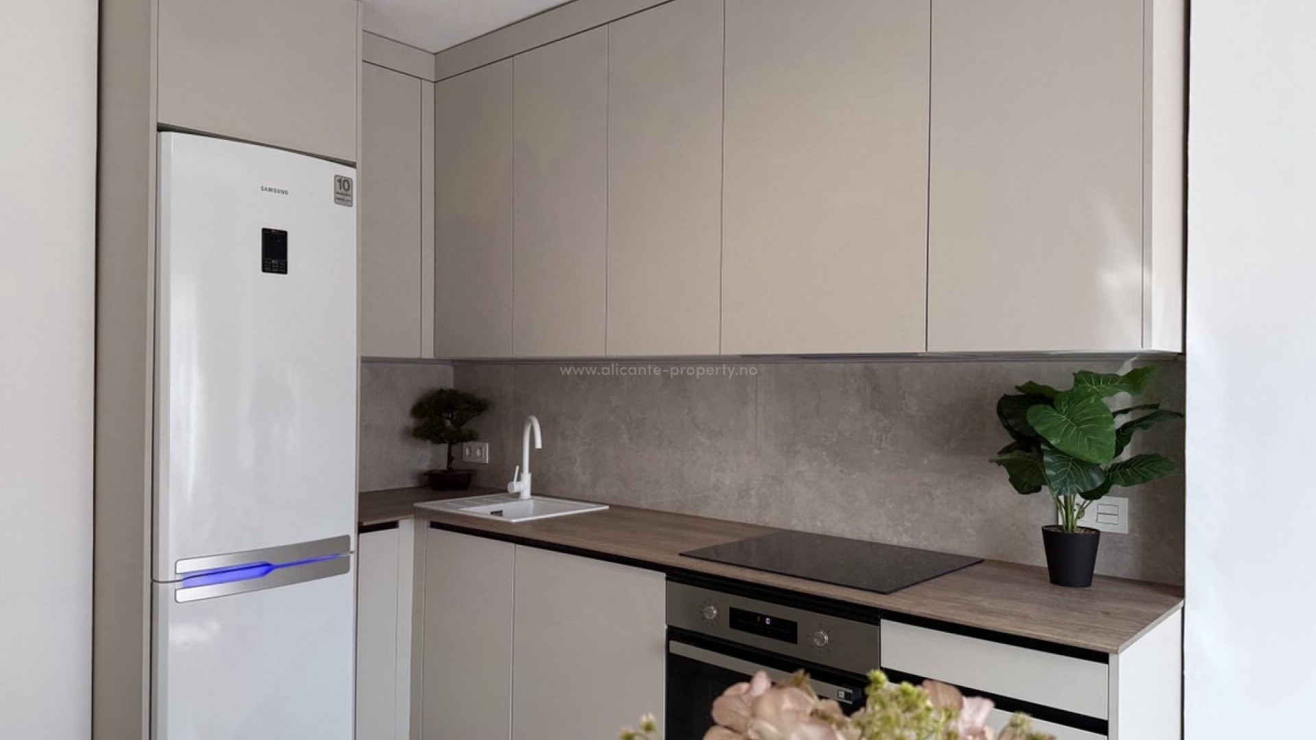 Apartment / flat in Playa del Cura