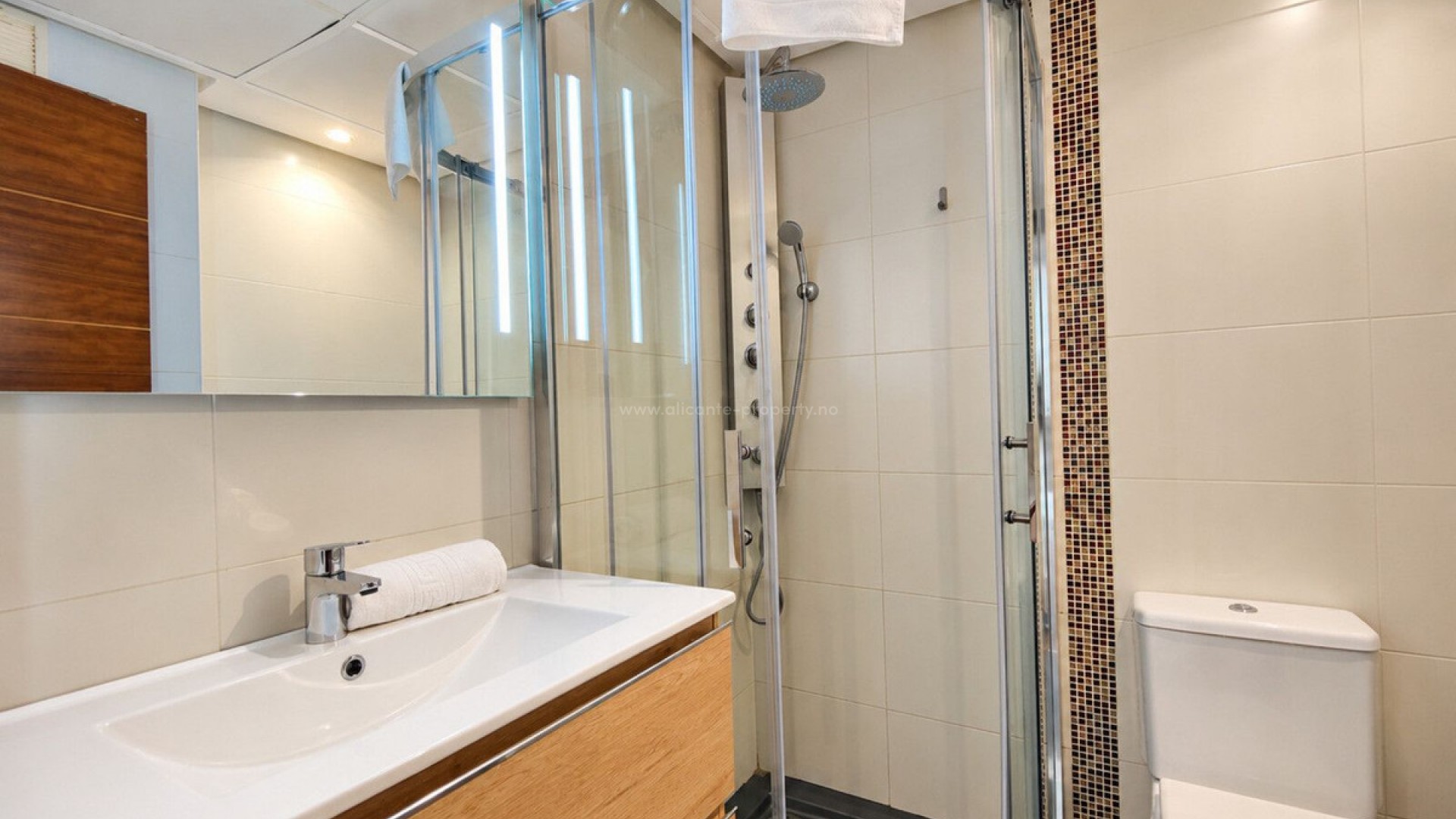 Apartment / flat in Playa del Cura