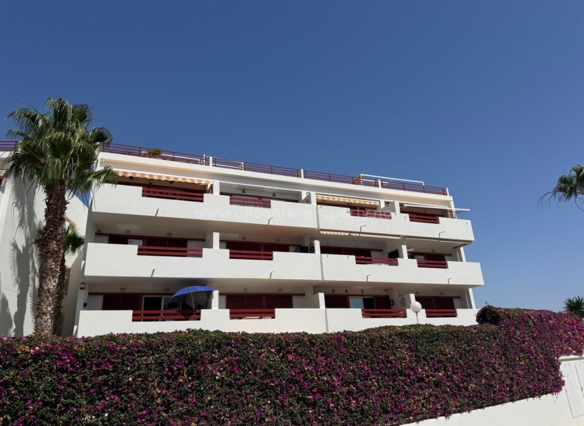 Apartment / flat in Playa Flamenca