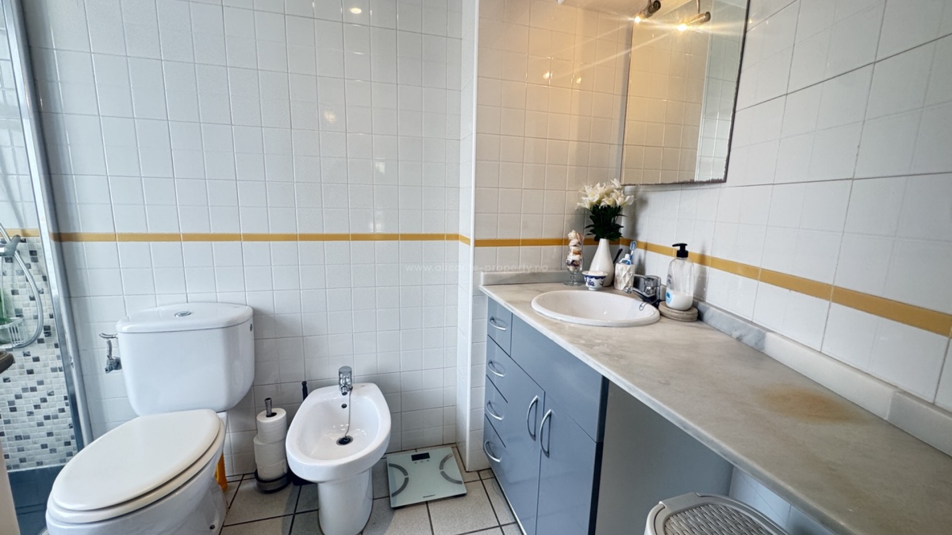 Apartment / flat in Playa Flamenca