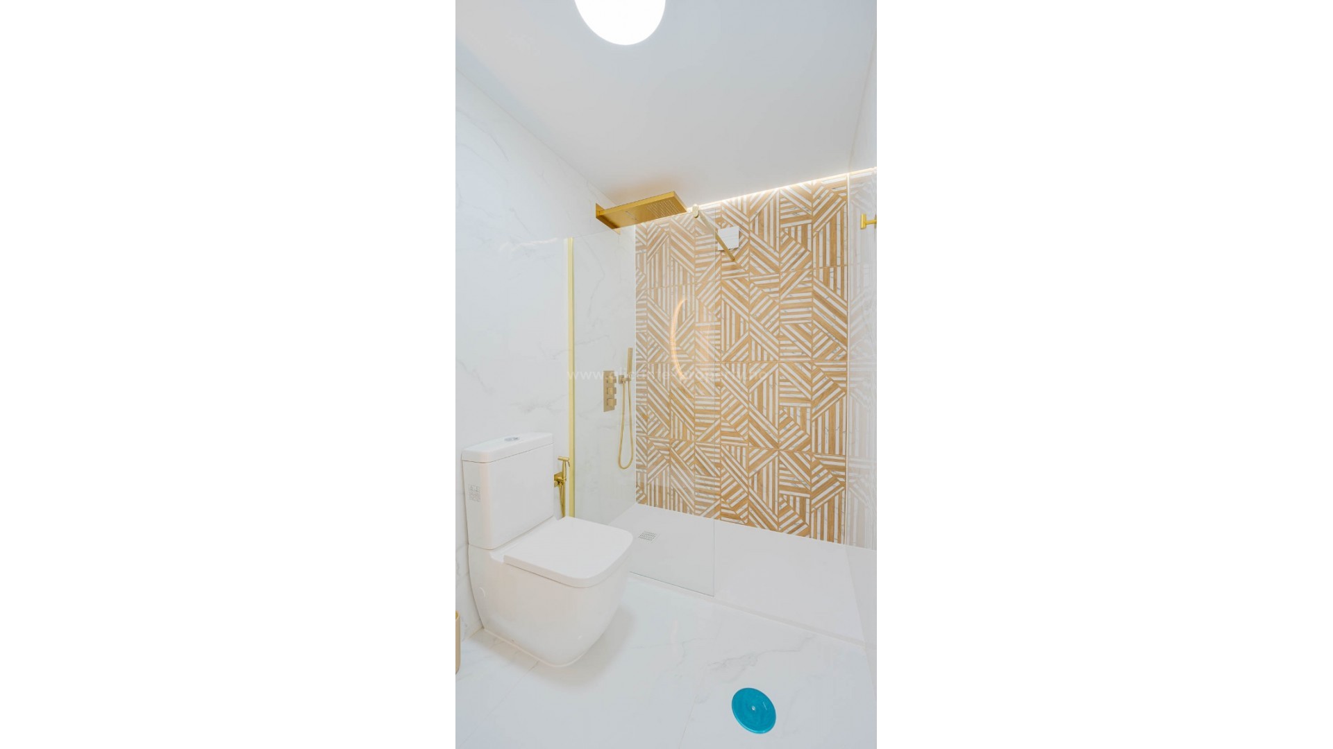 Apartment / flat in Playa Flamenca