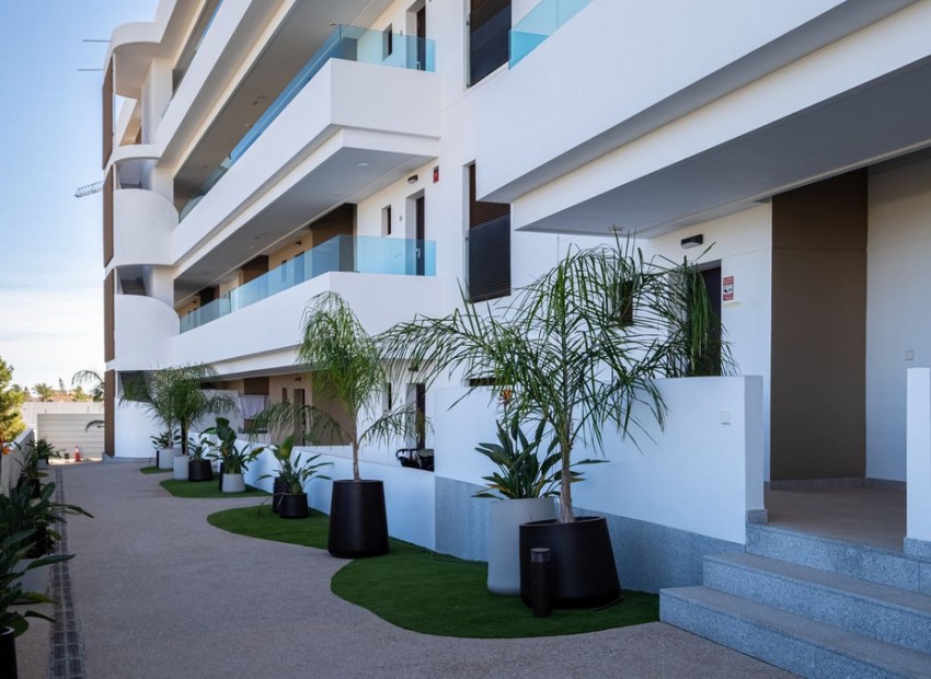 Apartment / flat in Playa Flamenca