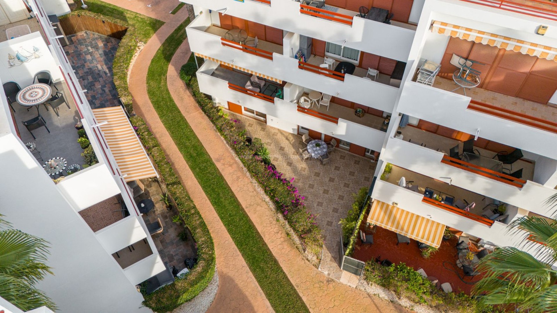 Apartment / flat in Playa Flamenca