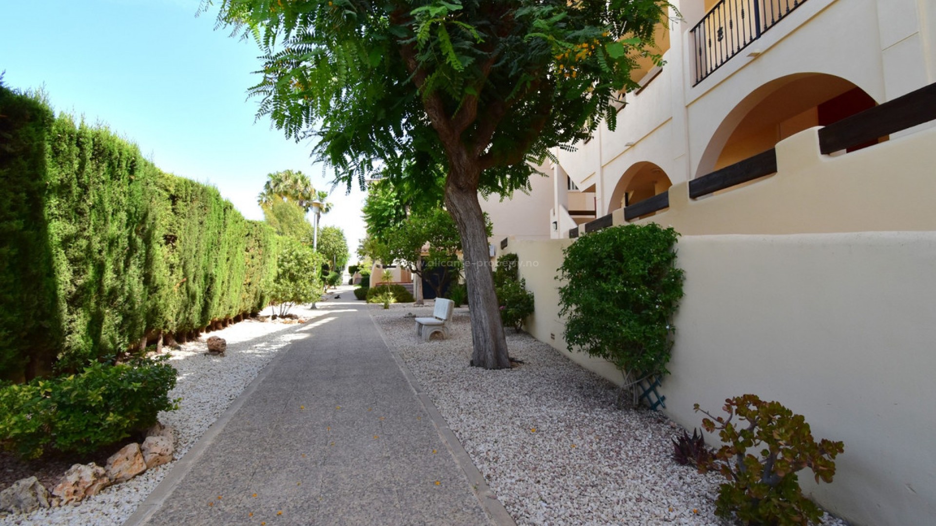 Apartment / flat in Playa Flamenca