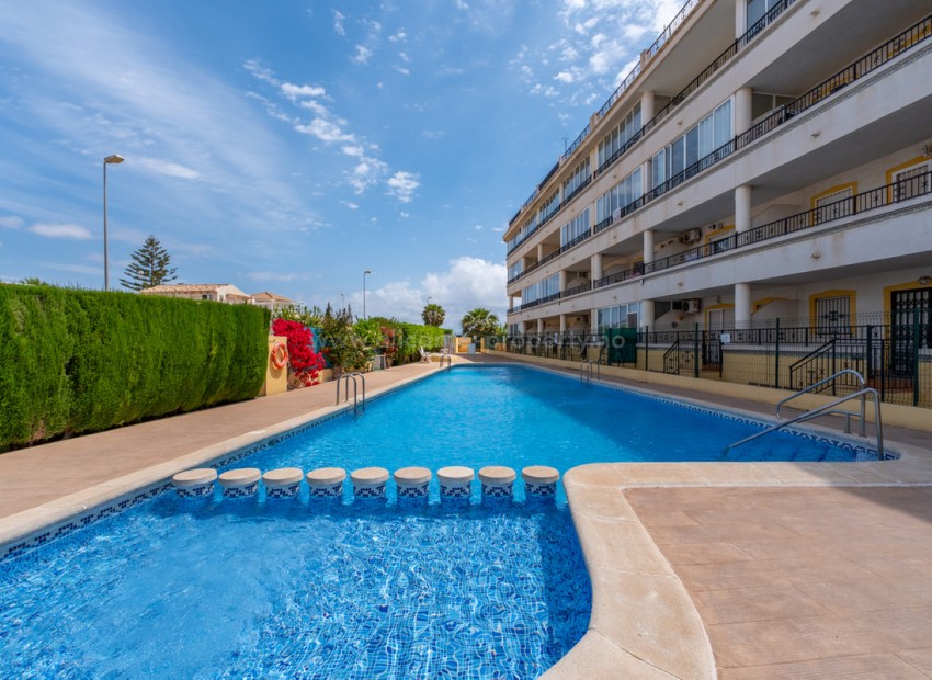 Apartment / flat in Playa Flamenca